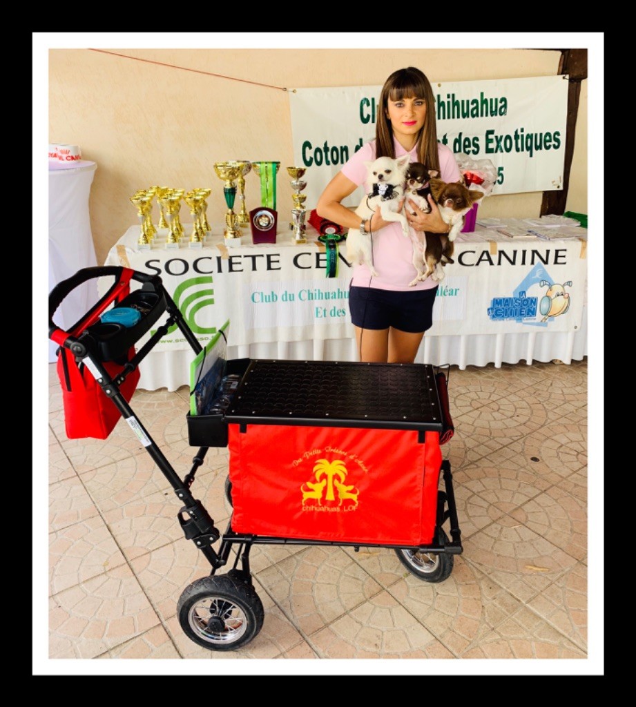 Des Petits Tresors D'Azur - AMICALE DU CCCE A CARROS LE 07/07/19